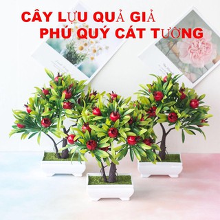 Chậu cây lựu giả phú quý cát tường