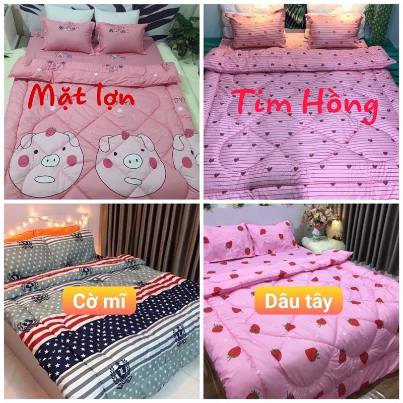 Combo ga giường poly cotton đủ bộ 5 món chăn phao