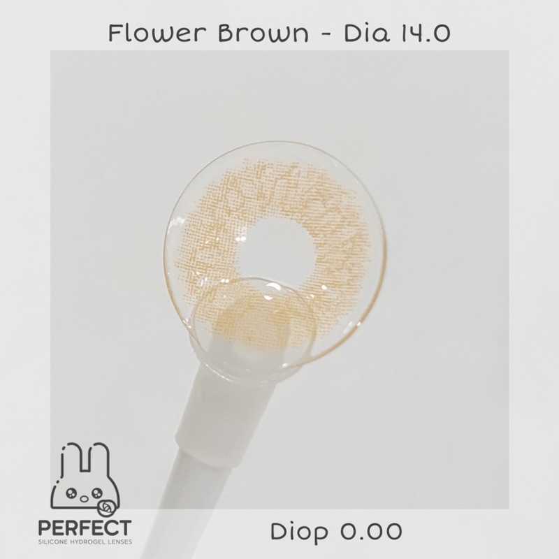Lens Mắt , Kính Áp Tròng  Không Độ , FLOWER BROWN , DIA 14.0 , Dành Cho Mắt Khô Yếu Giá Sale