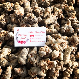 100g Củ Tam Thất Bắc khô ( loại 5 củ)