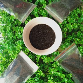 100G HẠT É LOẠI NGON