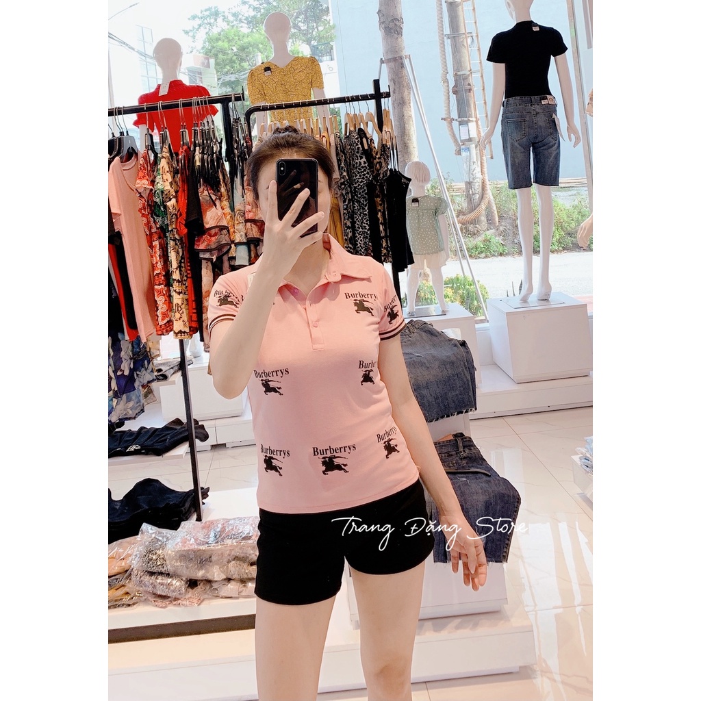 Áo thun nữ cộc tay cổ sơ mi in hình burberry ,dáng trẻ, áo phông in hình burberry !