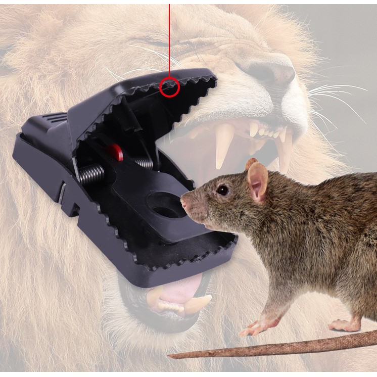 Bẫy chuột thông minh, dễ sủ dụng, hiệu quả cao, lực cực mạnh.