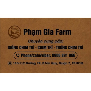 giỏ 10 trứng chim trĩ