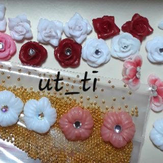 hoa đậu cánh trơn nail