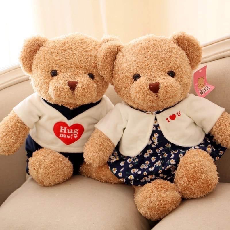 GẤU BÔNG TEDDY HUG ME ĐÔI NAM NỮ ( 30cm -70cm)