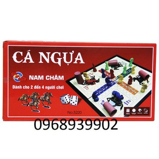 Bộ cờ cá ngựa nam châm kích thước bàn cờ 35 x 35 cm