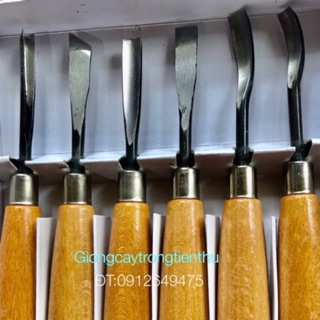 BỘ ĐỤC CÂY CẢNH,GỖ MỸ NGHỆ 6 MÓN CAO CẤP