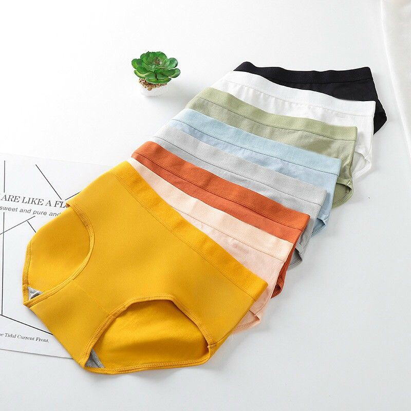 Quần Lót Nữ Cotton Cạp Liền Thấm Hút Mồ Hôi Tốt Mã 623