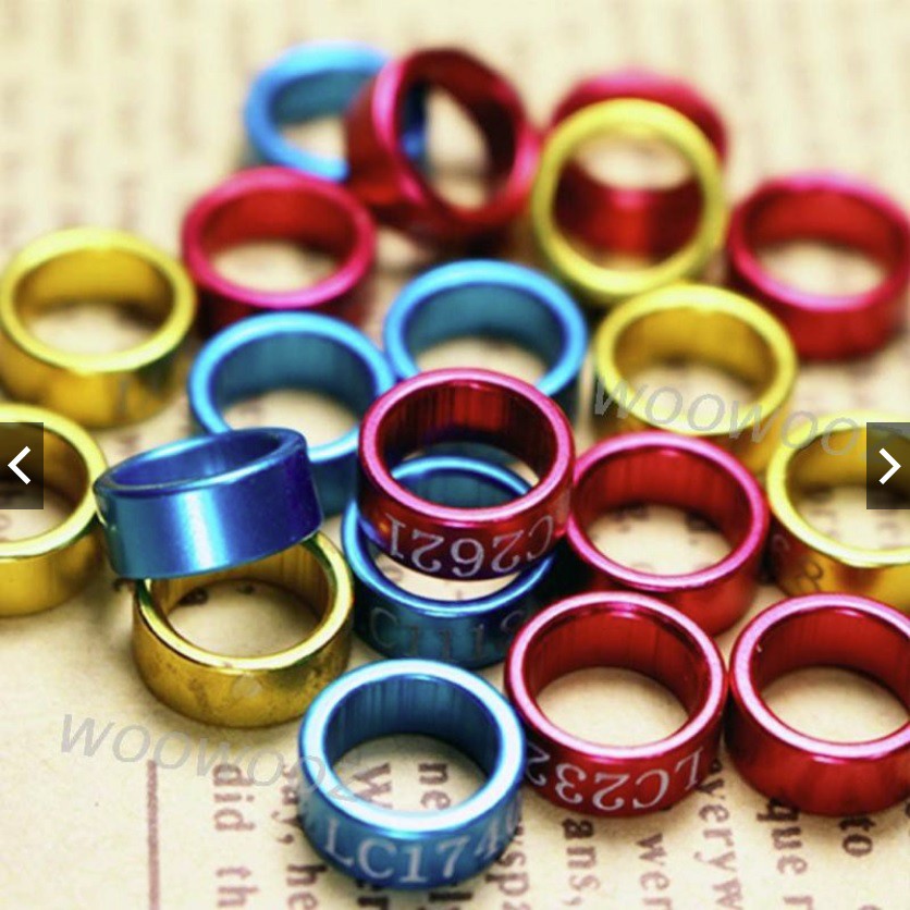 Bộ 10 Vòng Đeo Chân Chim Nhiều Màu Sắc