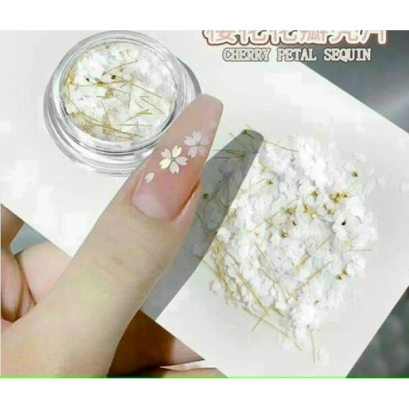 Nhũ cánh hoa trang trí móng mẫu mới siêu đẹp HOT
