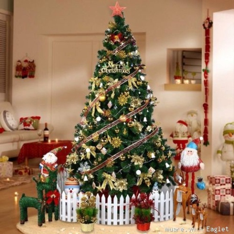 Cây Thông Noel 1m5 , 1m8 , 2m1 Tán Dày Đầy Đủ Phụ Kiện - Cây Thông Trang Trí Giáng Sinh