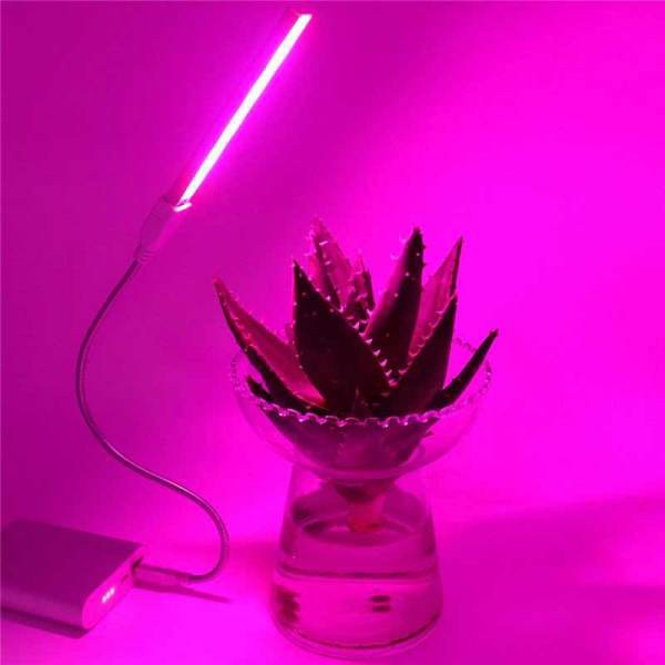 Đèn LED chiếu tia cực tím kích thích phát triển cây trồng USB tiện lợi
