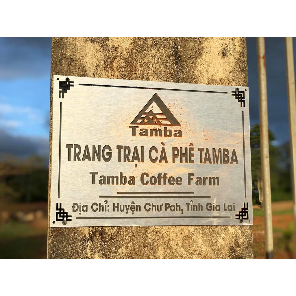 Cà phê hạt Robusta R1 nguyên chất 100% - Dark Roast - Tamba Coffee