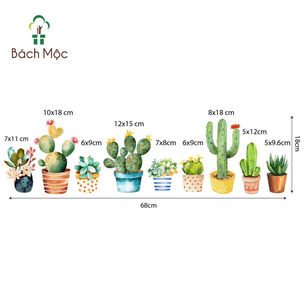 Set Decor Fomex Xương Rồng BÁCH MỘC Dán Tường Trang Trí Nhà Cửa