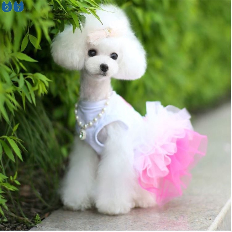 Đầm công chúa thời trang xuân hè xinh xắn dành cho cún cưng