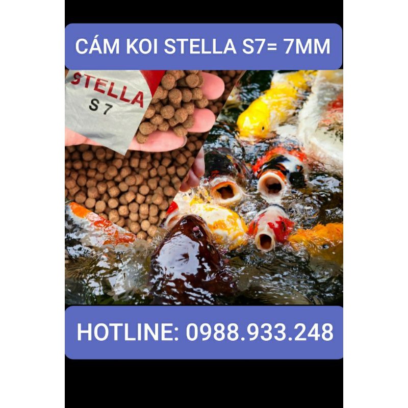 Cám cao cấp Koi Stella S7 dành cho cá Koi|1 Kg