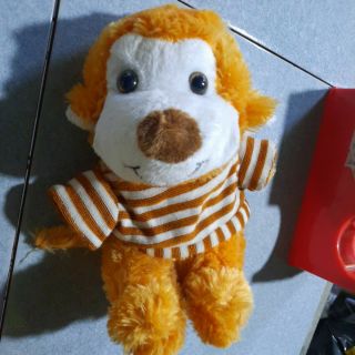 Gau bong cho thu huong