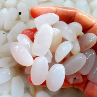 HẠT ĐÁC TƯƠI