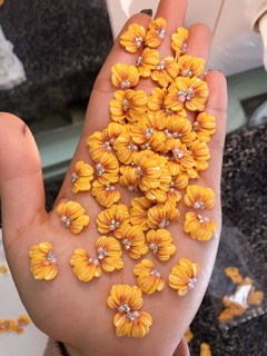 cuc ruby _ Hoa bột nail