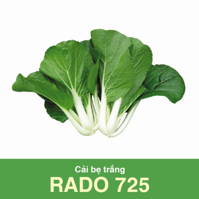Hạt giống Cải Bẹ Trắng 725 (20gr)