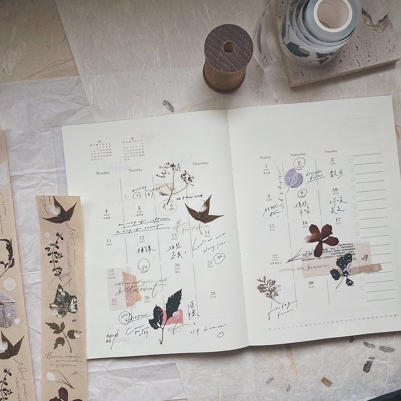 Meohime 𓃠 Hãng MrEggplants - Băng dán PET tape lá khô Old leaves