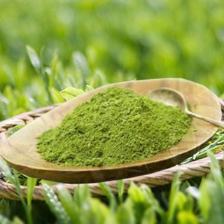 Bột trà xanh 1kg