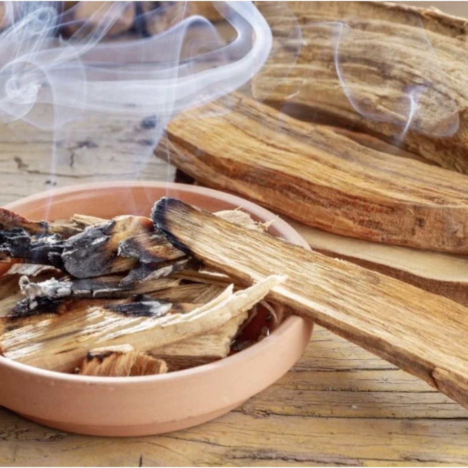 Gỗ Thánh (Palo Santo) Tái Tạo Năng Lượng & Giảm Stress l XÔ THƠM THANH TẨY