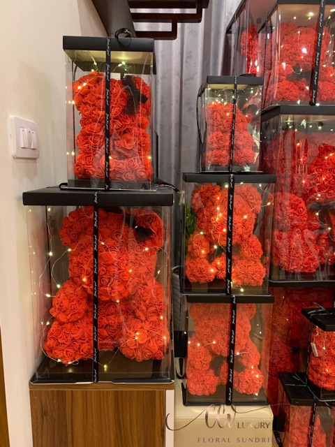 Gấu hoa (size 30cm) full hộp + đèn siêu đáng yêu cho Crush 😍😍😍 | BigBuy360 - bigbuy360.vn