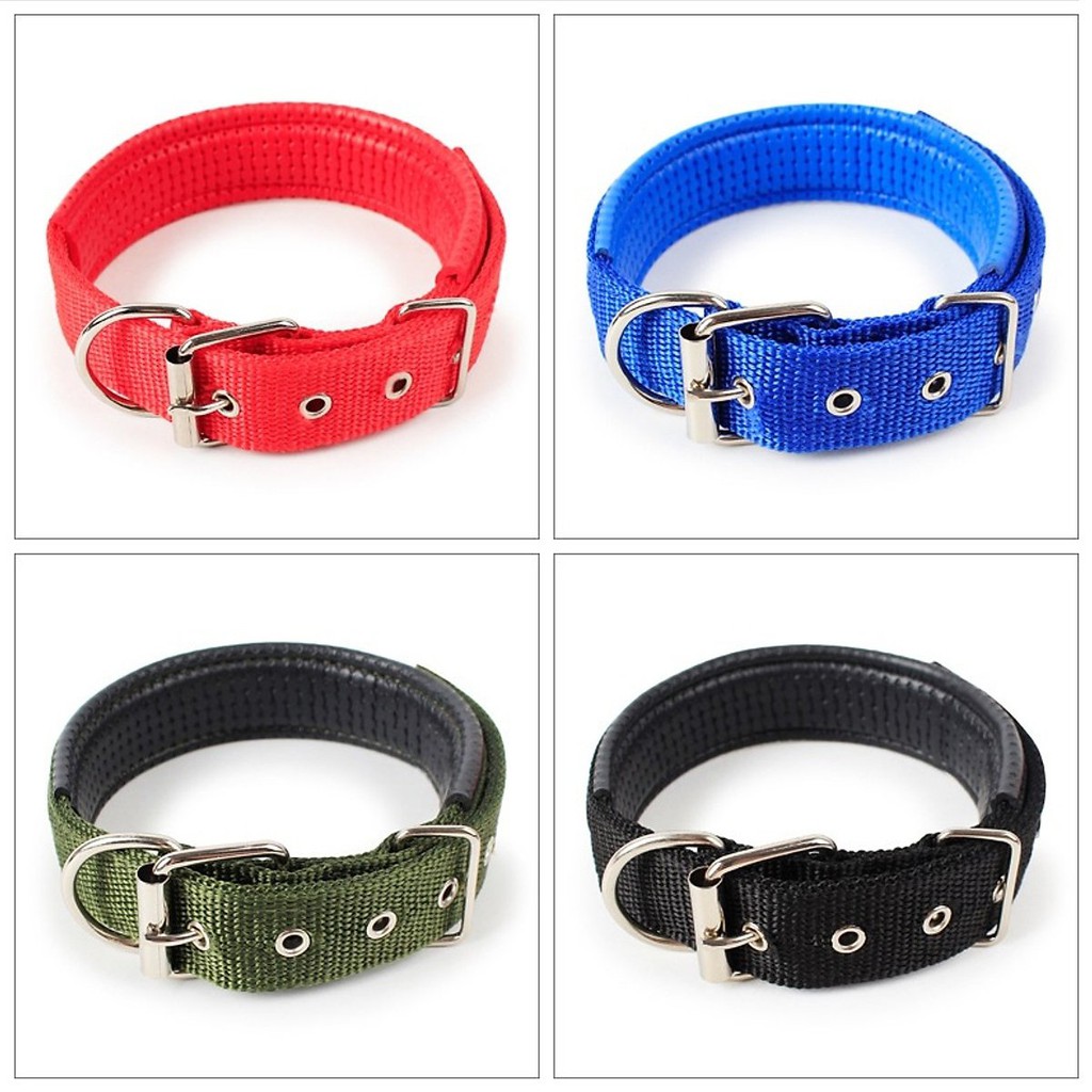 Dây đai đeo cổ chó, mèo.