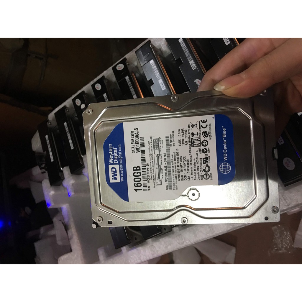 Ổ cứng HDD WD Caviar Blue 160Gb Sata PC | BigBuy360 - bigbuy360.vn
