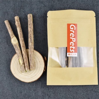 5 Cây Gỗ Catnip Bạc Hà Cho Mèo Gặm Trắng Răng