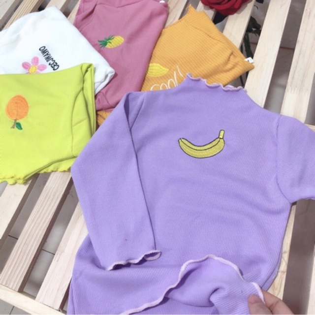 Áo len tăm cổ 3 p combo 5 áo