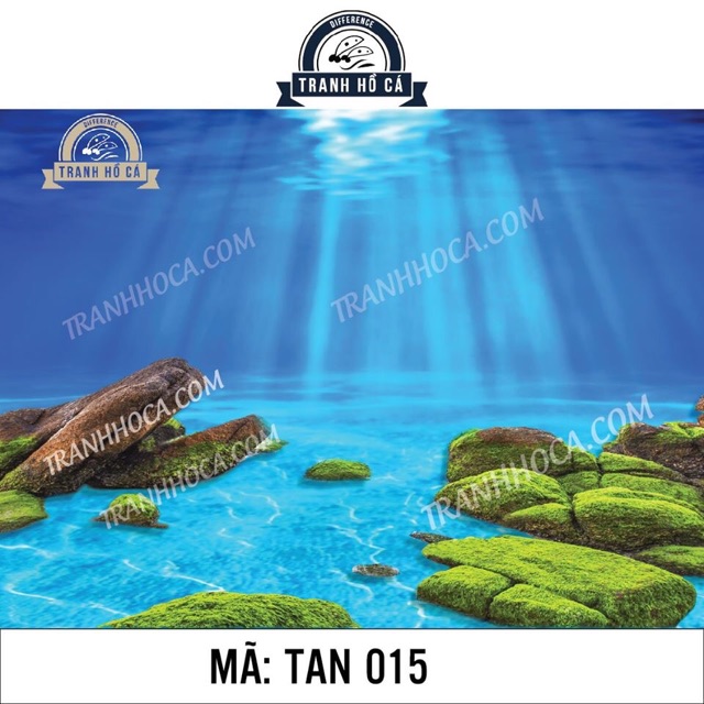 Tranh 3D dán bể cá mini - 50x30cm, 40x25cm...