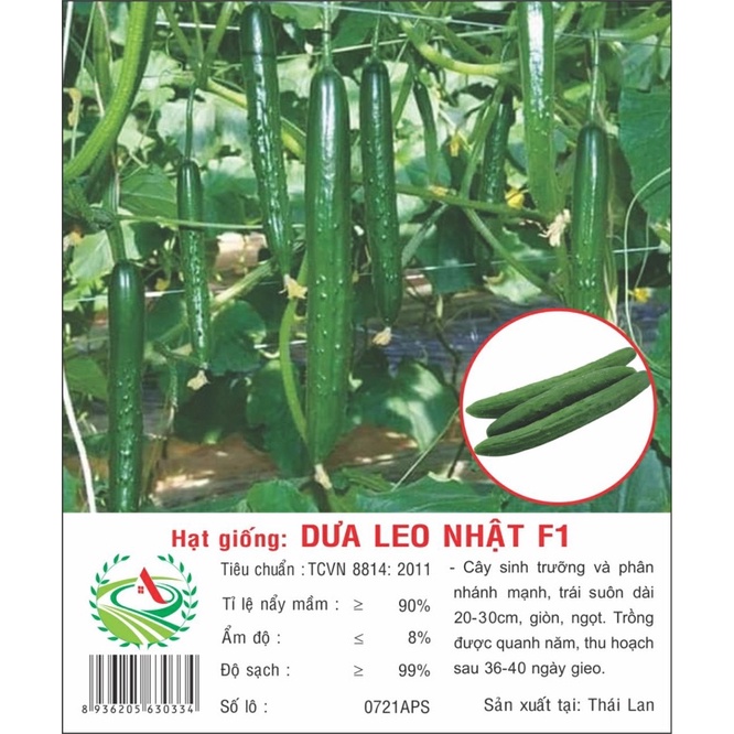 Gói hạt giống dưa leo nhật F1