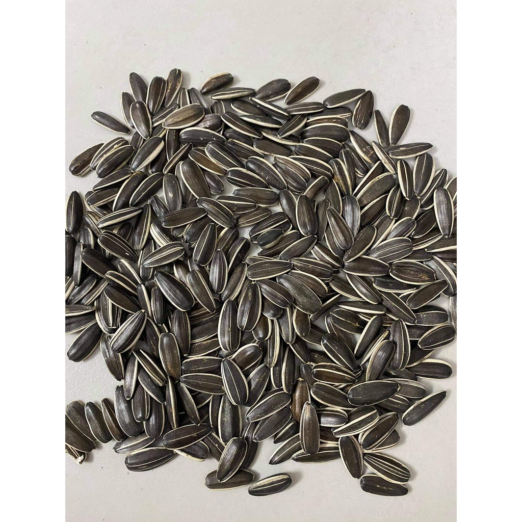 Hạt hướng dương - Hàng tết 2024