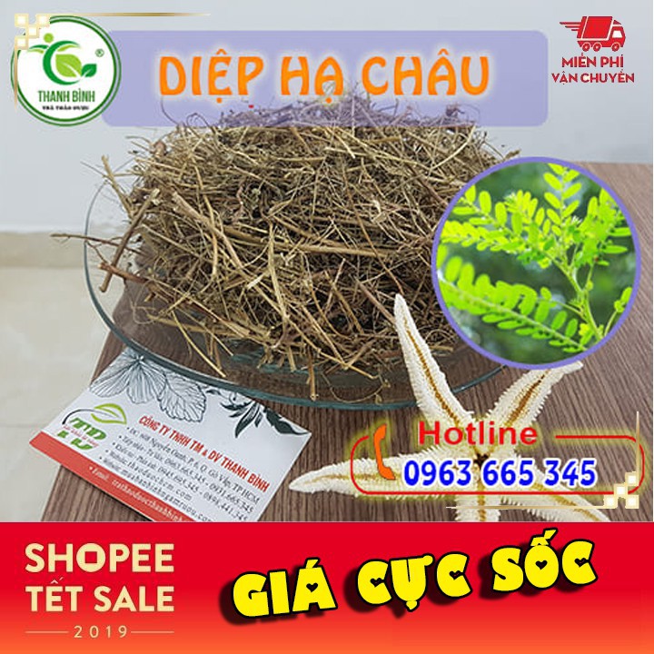 Diệp Hạ Châu Khô 500g - Thảo Dược Thanh Bình