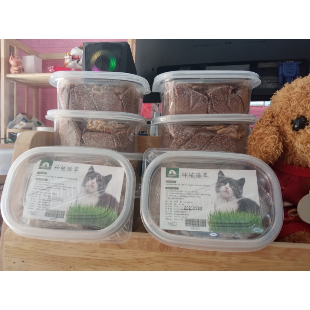 [Ảnh thật] Bộ KIT tự trồng cỏ mèo giúp mèo thư giãn và hỗ trợ tiêu hóa