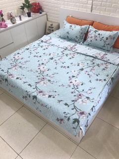 SET CHĂN GA GỐI COTTON POLY TRẦN BÔNG
