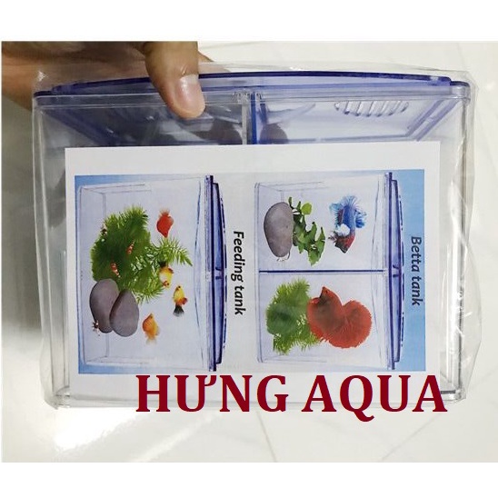 Bể cá, bể nuôi cá betta, cá chọi 2 ngăn 2 trong 1 chất liệu mica siêu trong, bền đẹp an toàn, bể cá để bàn