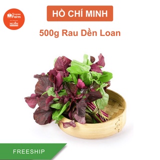 [HCM] 500 Rau Dền Loan Bổ Dưỡng, Giàu Chất Dinh Dưỡng - ShopeeFarm