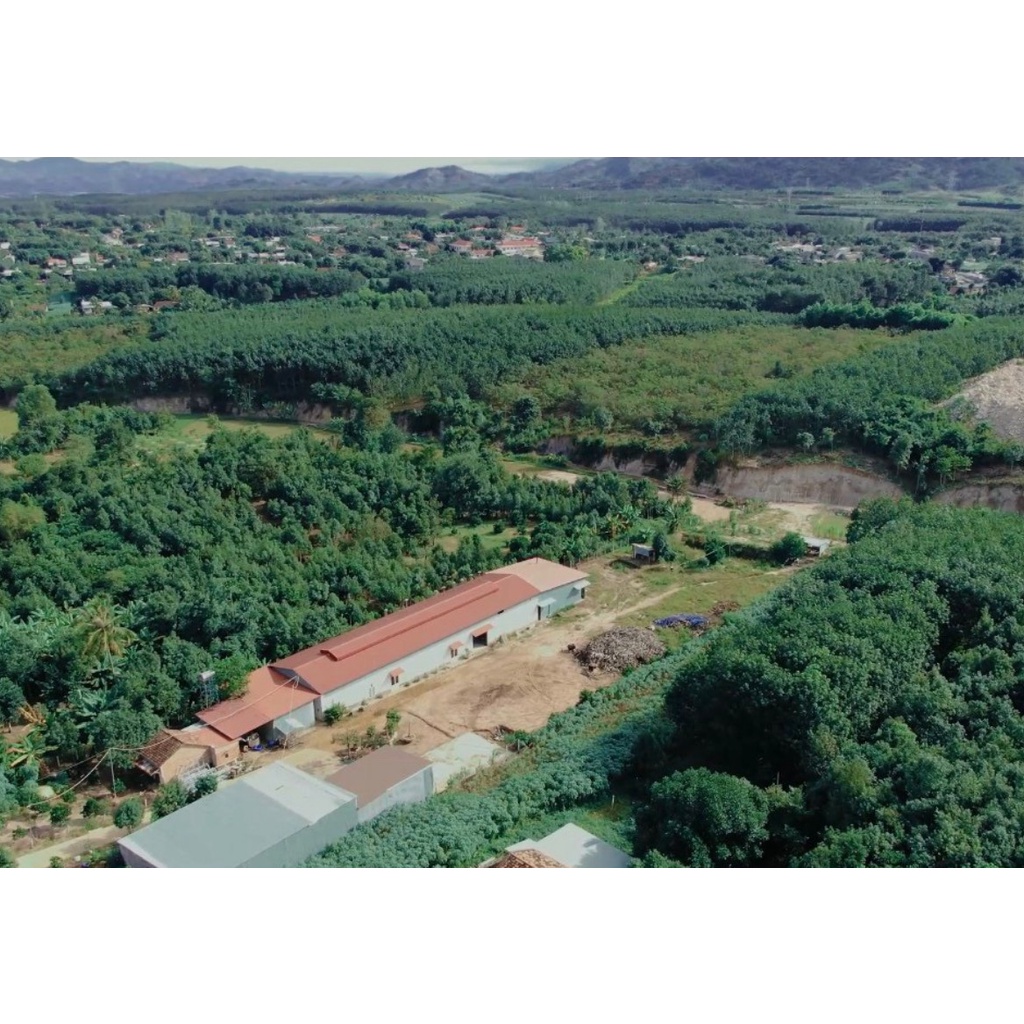 Hạt dưa sạch Thiên Lan vị bơ rang củi (40g)