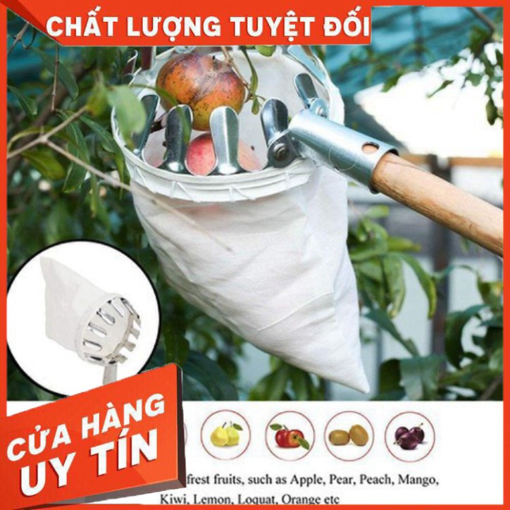 [FREE SHIP] Đầu Sào Hái Hoa Quả Thông Minh Loại Tốt