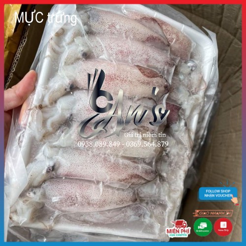 MỰC trứng 1kg, MỰC ống toàn là trứng | BigBuy360 - bigbuy360.vn