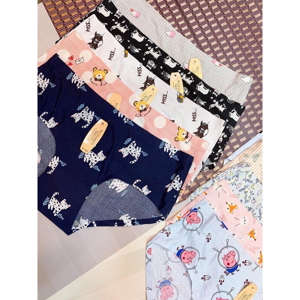 [HOT] Quần Lót Nữ - Quần Su Hình 7033 7032 | BigBuy360 - bigbuy360.vn