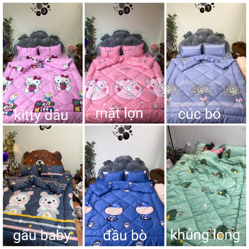 Bộ chăn ga cao cấp 🌺 𝗙𝗥𝗘𝗘 𝗦𝗛𝗜𝗣 🌺 Set chăn ga 5 món, chất liệu cotton đũi, thấm hút tốt, không bai nhão, xù lông