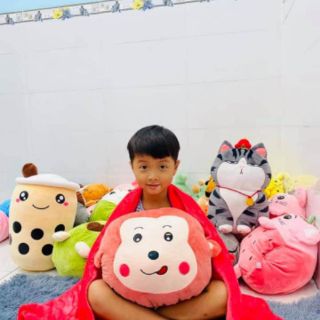 Chăn gối văn phòng