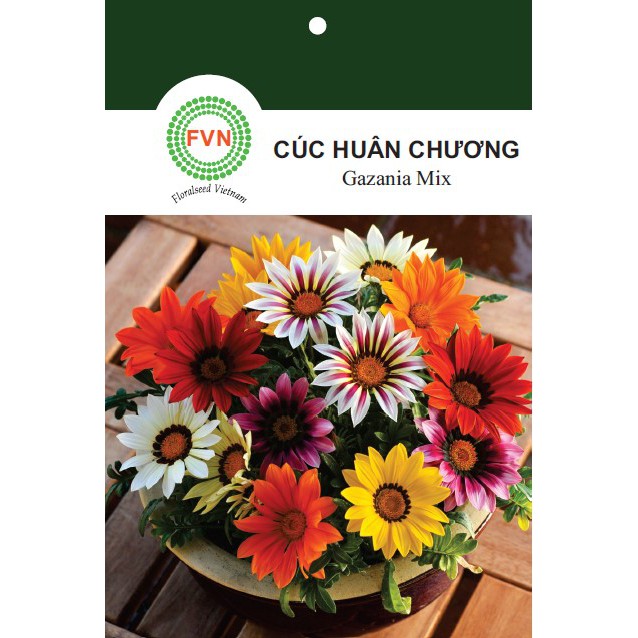 HẠT GIỐNG HOA CÚC GAZANIA / CÚC HUÂN CHƯƠNG NHIỀU MÀU FVN GÓI 15 HẠT - GAZANIA MIX