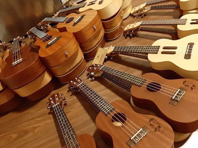 Ukulele Concert Full gỗ sale off mùa hè!