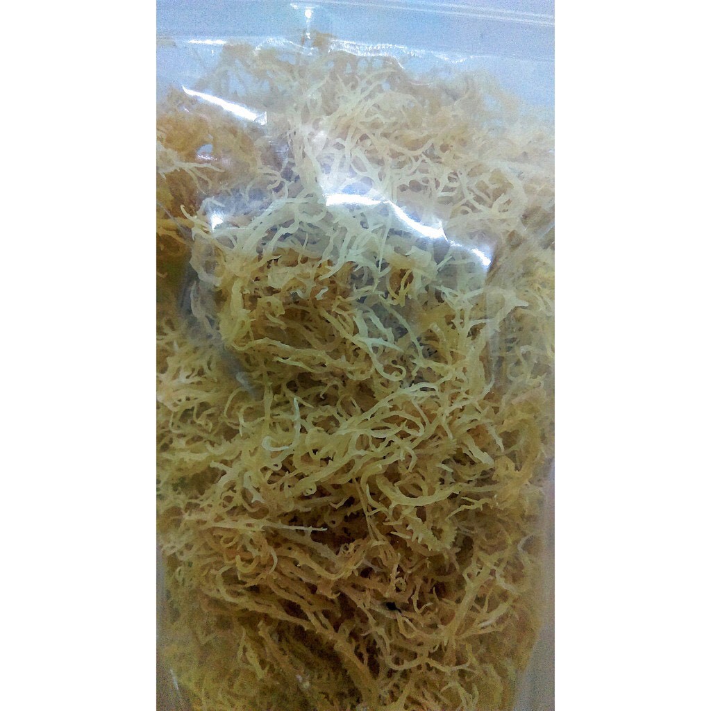 💘 𝑭𝑹𝑬𝑬𝑺𝑯𝑰𝑷 💘 100g rong sủn gai khô - rong biển làm thạch rau câu & nấu chè | BigBuy360 - bigbuy360.vn